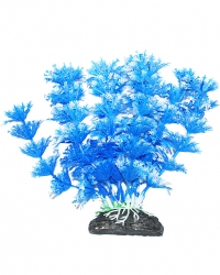 УЮТ Растение аквариумное, 11 см, Амбулия голубая