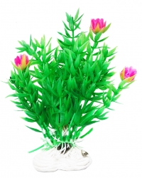 УЮТ Растение аквариумное, 11 см, Гемиантус с розовыми цветами