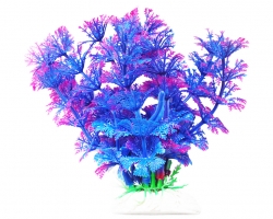 УЮТ Растение аквариумное, 11 см, Амбулия сине-фиолетовая